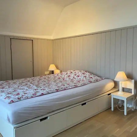 Minihotel 게스트하우스