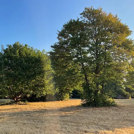 Minihotel 게스트하우스