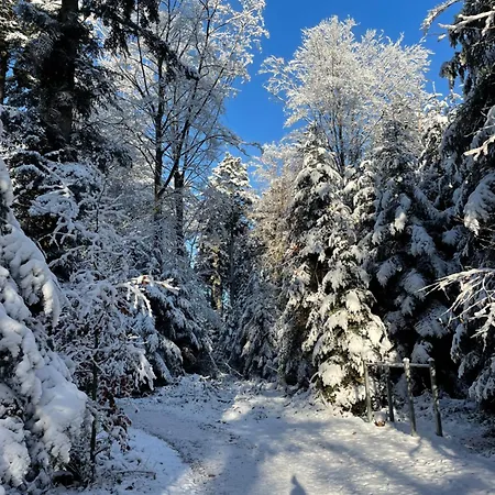 Minihotel 게스트하우스 3*