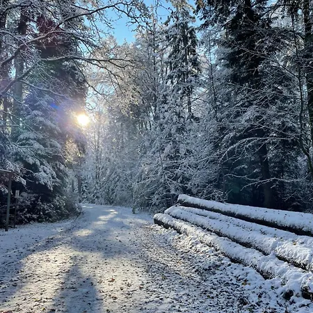 게스트하우스 Minihotel 3*