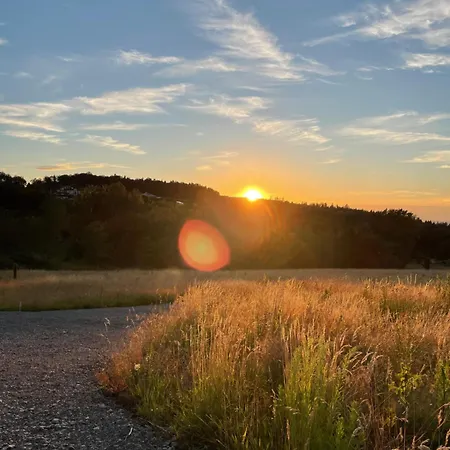Minihotel 게스트하우스 Büchenbronn