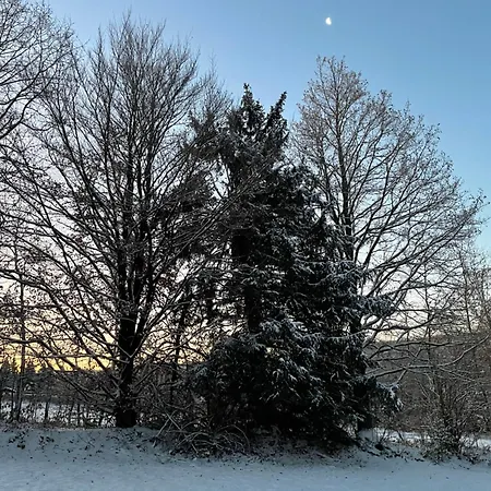 Minihotel 게스트하우스 Büchenbronn