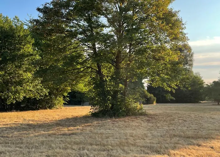 Minihotel 3* Büchenbronn