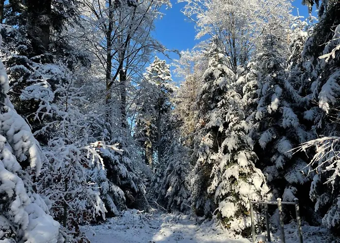 Minihotel Konukevi 3*