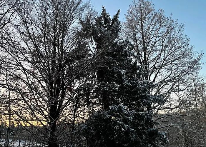 Minihotel Konukevi Büchenbronn