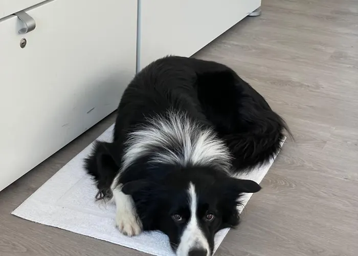 Konukevi Minihotel Büchenbronn